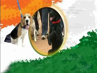 Dog Squad Key Role Play on Security || Independence Day || Sakshi Metro Special - Sakshi