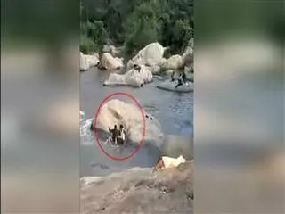 death by eve-teasers in Uttar Pradesh - Sakshi