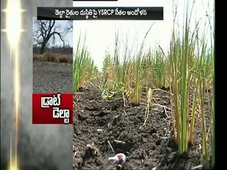 Delta farmers in drought-famine - Sakshi