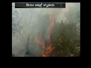 Massive Fire attacks Tirumala Seshachalam Forests - Sakshi