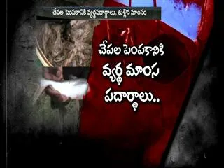 Fish Mafia in Prakasam district - Sakshi