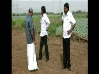 Field crops were destroyed in the CRDA area - Sakshi