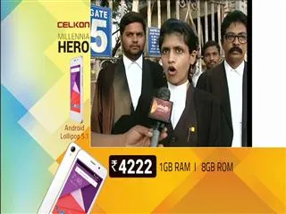 The trial in the High Court on Cockfight - Sakshi