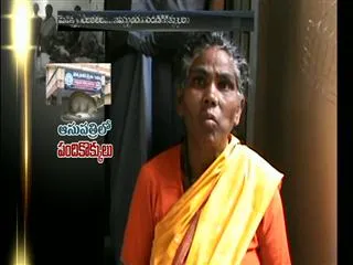 Bandicoot in Government hospital - Sakshi