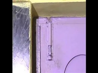 Robbery in Brindavana colony Hyderabad - Sakshi