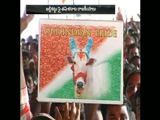 Central Government may Allow Return of Jallikattu during Pongal - Sakshi
