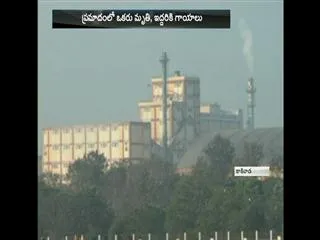 One dies in Coromandel fertilizers factory due to cylinder explosion - Sakshi
