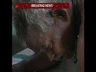 honey Bees attacks on men in kakinada - Sakshi