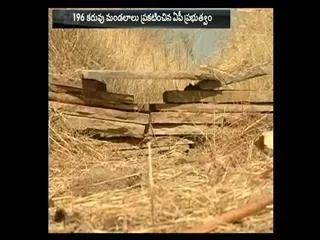AP Government Identify 196 Drought Zones in Andhra Pradesh - Sakshi