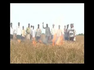 185 Drought districts across the country - Sakshi