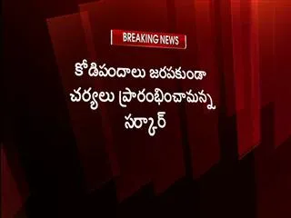 taking all measures against conduct of cock fights, says ap govt - Sakshi