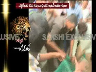 Leopard creates scare in Medak district - Sakshi