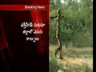 Four maoists killed in chattisgarh encounter - Sakshi