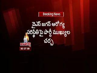 ysrcp crucial leaders meeting started - Sakshi