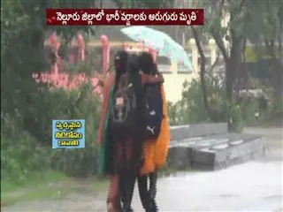 Heavy Rain at Nellore | 6 Dies - Sakshi