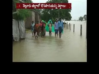 Heavy rains in nellore district - Sakshi
