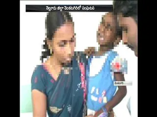 Drunken College Bus Driver Hulchul in Venkatagiri || 2 Injured - Sakshi