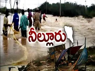 Special Drive || Heavy Rain lashes Nellore - Sakshi