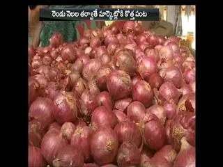 Onion price hike - Sakshi