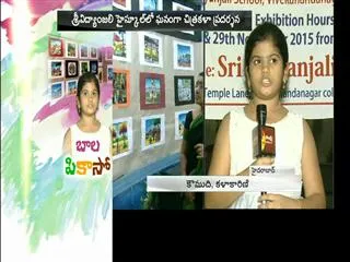 painting exhibition in sri vidyanjali high school hyderabad - Sakshi