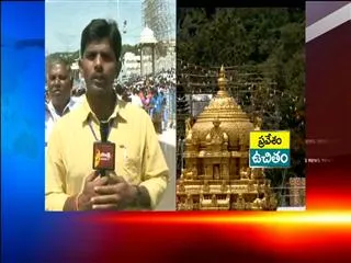 Parrot In Tirumala Brahmotsavam Celebrations - Sakshi