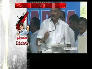 YSRCP Leader Parthasarathi fires on Cental and State Governments Over Special Status - Sakshi