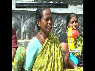 woman commits suicide in eluru collectorate - Sakshi