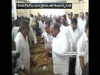 Minister Prathipati Pullarao Visits Tobacco Auction Centre in Prakasam District - Sakshi