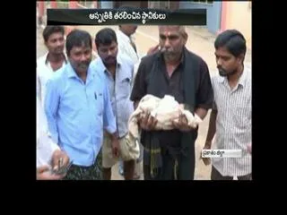 Just born baby left in Canal - Sakshi