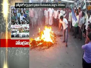 special status on ap districts protest - Sakshi