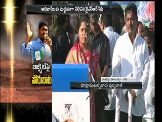 ysrcp kurupam mla Pamula Pushpa Srivani speech in chintapalli meeting - Sakshi