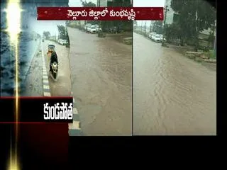 once again rain in nellore - Sakshi