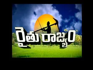 Raitu Rajyam 12th Aug 2015 - Sakshi