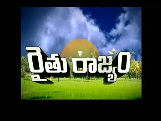 Raitu Rajyam 14th Aug 2015 - Sakshi