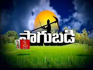 Sagubadi : Raithu Rajyam 26th December - Sakshi