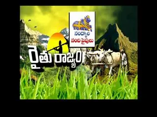 Raithu Rajyam 31st July 2015 - Sakshi