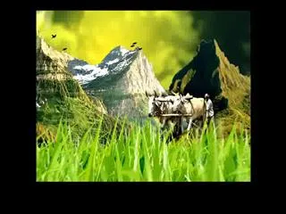 Raithu Rajyam 30th July 2015 - Sakshi