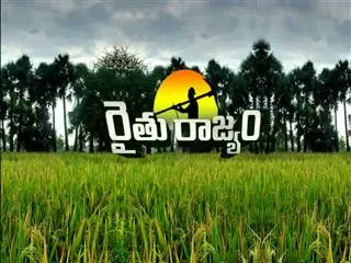 Raithu Rajyam 3rd September 2015 - Sakshi