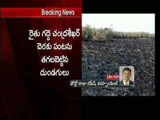 Farmer's field burnt at Capital amaravathi - Sakshi