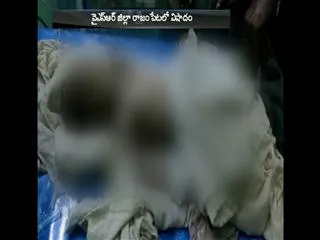 doctor's negligence new born baby died in rajampet kadapa - Sakshi