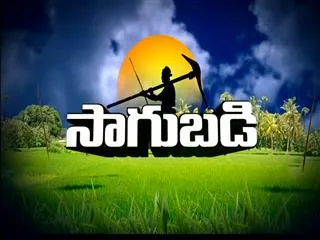 Sagubadi 23rd November 2015 - Sakshi