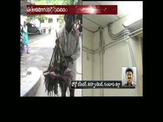 heavy number of rats caught in guntur government hospital - Sakshi