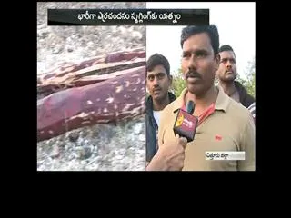 Police Arrests Red Sandal Smugglers In Chittoor District - Sakshi