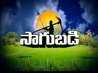 Sagubadi 2nd November 2015 - Sakshi