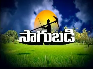 Sagubadi 6th November 2015 - Sakshi