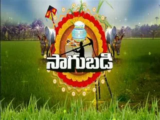 Sagubadi : Raithu Rajyam 15th january 2016 - Sakshi