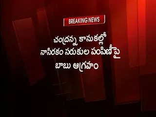 Sakshi Effect ||  Chandrababu Serious on Corruption of Chandranna Sankranti Kanuka - Sakshi