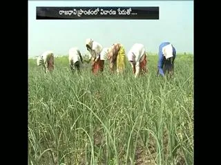Harassment under investigation - Sakshi