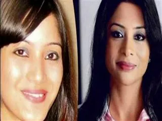 Sheena Bora murder: Peter Mukerjea's son Rahul quizzed by CBI - Sakshi