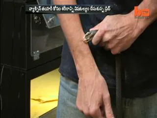 Tim Friede, from Wisconsin, has received 160 snake bites in 16 years - Sakshi